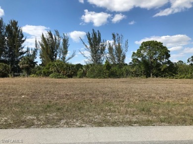 This double lot is perfect if you love living on the water in a on Del Tura Golf and Country Club in Florida - for sale on GolfHomes.com, golf home, golf lot