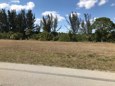 This double lot is perfect if you love living on the water in a on Del Tura Golf and Country Club in Florida - for sale on GolfHomes.com, golf home, golf lot