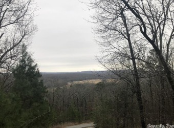 Wooded lot in Eagle Mtn with a view of the Eagle Mtn. golf on The Course At Eagle Mountain in Arkansas - for sale on GolfHomes.com, golf home, golf lot