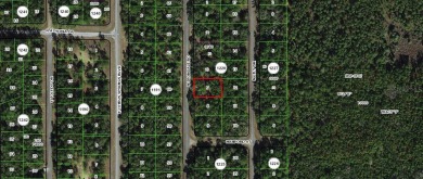 Nice elevation. High & Dry !!!  NO HOA Rules & NO HOA fees $$$ on Citrus Springs Country Club in Florida - for sale on GolfHomes.com, golf home, golf lot
