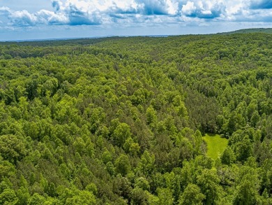 18 acres on Sardis 

Write up

TRACT 3 which is 18.28 acres on Callahan Golf Links in Georgia - for sale on GolfHomes.com, golf home, golf lot