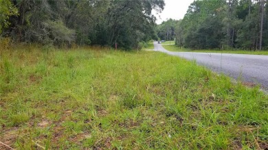 Nice elevation. High & Dry !!!  NO HOA Rules & NO HOA fees $$$ on Citrus Springs Country Club in Florida - for sale on GolfHomes.com, golf home, golf lot