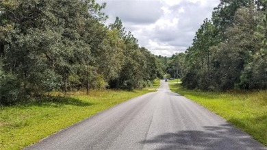 Nice elevation. High & Dry !!!  NO HOA Rules & NO HOA fees $$$ on Citrus Springs Country Club in Florida - for sale on GolfHomes.com, golf home, golf lot