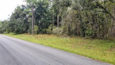 Nice elevation. High & Dry !!!  NO HOA Rules & NO HOA fees $$$ on Citrus Springs Country Club in Florida - for sale on GolfHomes.com, golf home, golf lot