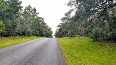 Nice elevation. High & Dry !!!  NO HOA Rules & NO HOA fees $$$ on Citrus Springs Country Club in Florida - for sale on GolfHomes.com, golf home, golf lot
