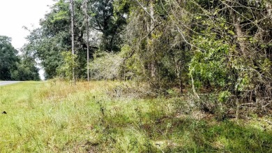 Nice elevation. High & Dry !!!  NO HOA Rules & NO HOA fees $$$ on Citrus Springs Country Club in Florida - for sale on GolfHomes.com, golf home, golf lot