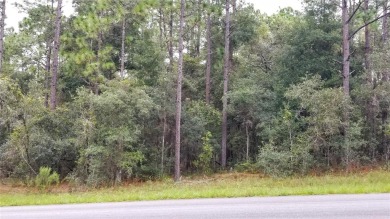 Nice elevation. High & Dry !!!  NO HOA Rules & NO HOA fees $$$ on Citrus Springs Country Club in Florida - for sale on GolfHomes.com, golf home, golf lot