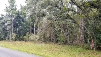 Nice elevation. High & Dry !!!  NO HOA Rules & NO HOA fees $$$ on Citrus Springs Country Club in Florida - for sale on GolfHomes.com, golf home, golf lot