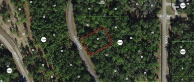 Nice elevation. NO HOA Rules & NO HOA fees $$$  NOT in a FLOOD on Citrus Springs Country Club in Florida - for sale on GolfHomes.com, golf home, golf lot