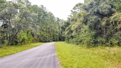 Nice elevation. NO HOA Rules & NO HOA fees $$$  NOT in a FLOOD on Citrus Springs Country Club in Florida - for sale on GolfHomes.com, golf home, golf lot