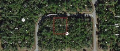 Nice elevation. Nice curb appeal. High & Dry !!!  NO HOA Rules & on Citrus Springs Country Club in Florida - for sale on GolfHomes.com, golf home, golf lot