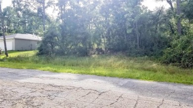 Nice elevation. NO HOA Rules & NO HOA fees $$$  NOT in a FLOOD on Citrus Springs Country Club in Florida - for sale on GolfHomes.com, golf home, golf lot