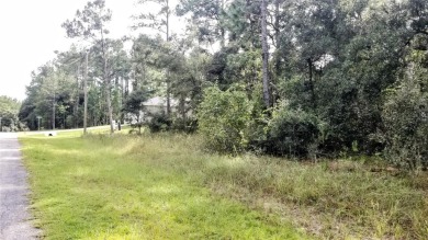 Nice elevation. NO HOA Rules & NO HOA fees $$$  NOT in a FLOOD on Citrus Springs Country Club in Florida - for sale on GolfHomes.com, golf home, golf lot
