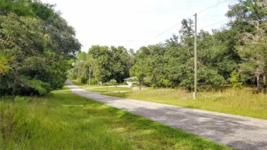 Nice elevation. NO HOA Rules & NO HOA fees $$$  NOT in a FLOOD on Citrus Springs Country Club in Florida - for sale on GolfHomes.com, golf home, golf lot