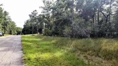 Nice elevation. NO HOA Rules & NO HOA fees $$$  NOT in a FLOOD on Citrus Springs Country Club in Florida - for sale on GolfHomes.com, golf home, golf lot