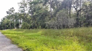 Nice elevation. NO HOA Rules & NO HOA fees $$$  NOT in a FLOOD on Citrus Springs Country Club in Florida - for sale on GolfHomes.com, golf home, golf lot