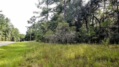 Nice elevation. NO HOA Rules & NO HOA fees $$$  NOT in a FLOOD on Citrus Springs Country Club in Florida - for sale on GolfHomes.com, golf home, golf lot