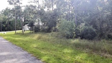 Nice elevation. NO HOA Rules & NO HOA fees $$$  NOT in a FLOOD on Citrus Springs Country Club in Florida - for sale on GolfHomes.com, golf home, golf lot