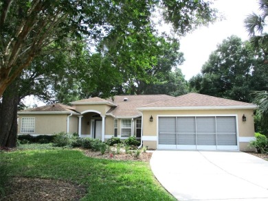 SUPER SIZED HOUSE AND DRIVEWAY, ON A SUPER SIZED LOT !! This on Preserve Golf Club in Florida - for sale on GolfHomes.com, golf home, golf lot
