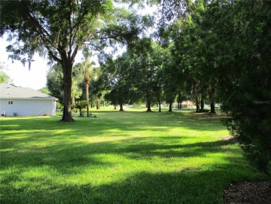 SUPER SIZED HOUSE AND DRIVEWAY, ON A SUPER SIZED LOT !! This on Preserve Golf Club in Florida - for sale on GolfHomes.com, golf home, golf lot