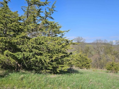 Sweeping view to the East from this 1.77 acre gentle downslope on Eagle Ridge Inn and Resort in Illinois - for sale on GolfHomes.com, golf home, golf lot