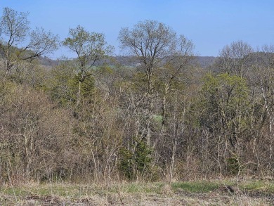 Sweeping view to the East from this 1.77 acre gentle downslope on Eagle Ridge Inn and Resort in Illinois - for sale on GolfHomes.com, golf home, golf lot