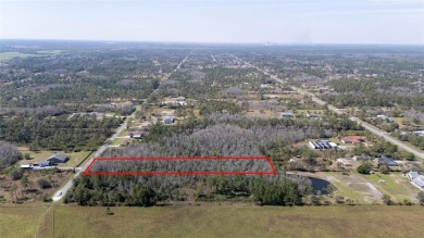 Live the Dream in Wedgefield, Florida - 1.12 Acres of Pure on Wedgefield Golf Club in Florida - for sale on GolfHomes.com, golf home, golf lot