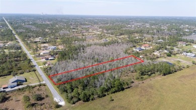 Live the Dream in Wedgefield, Florida - 1.12 Acres of Pure on Wedgefield Golf Club in Florida - for sale on GolfHomes.com, golf home, golf lot