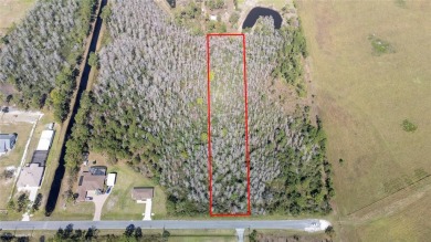 Live the Dream in Wedgefield, Florida - 1.12 Acres of Pure on Wedgefield Golf Club in Florida - for sale on GolfHomes.com, golf home, golf lot