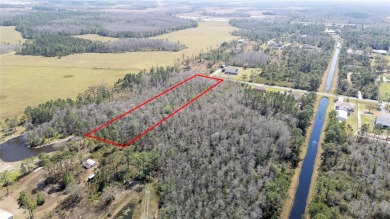 Live the Dream in Wedgefield, Florida - 1.12 Acres of Pure on Wedgefield Golf Club in Florida - for sale on GolfHomes.com, golf home, golf lot