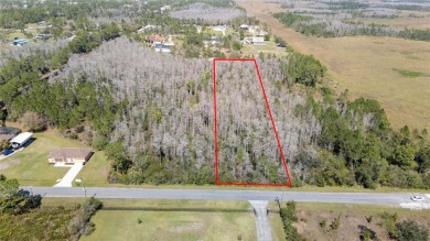 Live the Dream in Wedgefield, Florida - 1.12 Acres of Pure on Wedgefield Golf Club in Florida - for sale on GolfHomes.com, golf home, golf lot