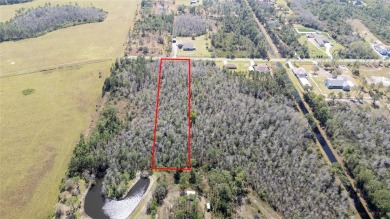 Live the Dream in Wedgefield, Florida - 1.12 Acres of Pure on Wedgefield Golf Club in Florida - for sale on GolfHomes.com, golf home, golf lot