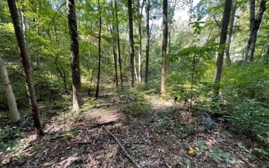 BEAUTIFULLY WOODED LOT IN UPSCALE SUBDIVISION IN THE MOUNTAINS on Mountain Harbour Golf Club in North Carolina - for sale on GolfHomes.com, golf home, golf lot