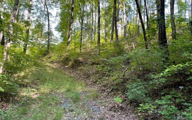 BEAUTIFULLY WOODED LOT IN UPSCALE SUBDIVISION IN THE MOUNTAINS on Mountain Harbour Golf Club in North Carolina - for sale on GolfHomes.com, golf home, golf lot