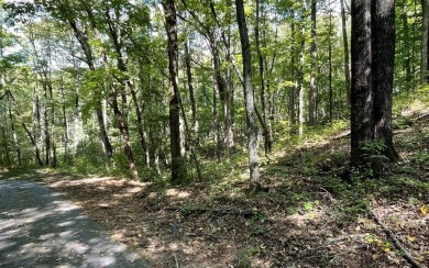 BEAUTIFULLY WOODED LOT IN UPSCALE SUBDIVISION IN THE MOUNTAINS on Mountain Harbour Golf Club in North Carolina - for sale on GolfHomes.com, golf home, golf lot