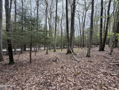Paupack Hills Golf Course Now Open! This is the time to buy this on Paupack Hills Golf and Country Club in Pennsylvania - for sale on GolfHomes.com, golf home, golf lot