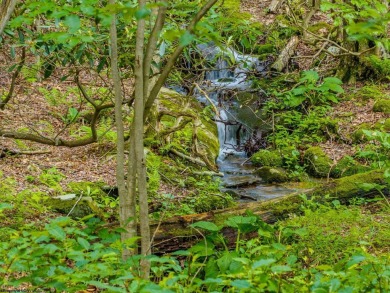 Welcome to 'Soothing Waters,' a custom-built luxury home by Don on Alpine Lake Resort in West Virginia - for sale on GolfHomes.com, golf home, golf lot