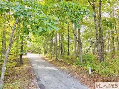 Great half acre lot in an estate section of Trillium Links & on Trillium Links in North Carolina - for sale on GolfHomes.com, golf home, golf lot