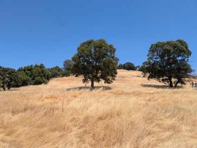 A perfect canvas for your dream home on this beautiful 2.4-acre on The Club at Copper Valley Golf Course in California - for sale on GolfHomes.com, golf home, golf lot