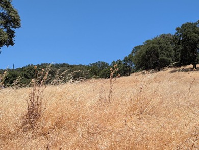 A perfect canvas for your dream home on this beautiful 2.4-acre on The Club at Copper Valley Golf Course in California - for sale on GolfHomes.com, golf home, golf lot