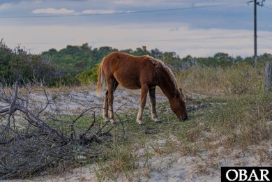Build your dream home or investment property in The Currituck on The Currituck Golf Club in North Carolina - for sale on GolfHomes.com, golf home, golf lot