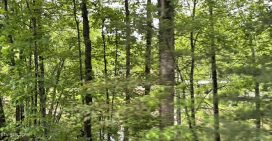 Over one acre soil tested and surveyed water front property in on Lake Tansi Village Country Club in Tennessee - for sale on GolfHomes.com, golf home, golf lot