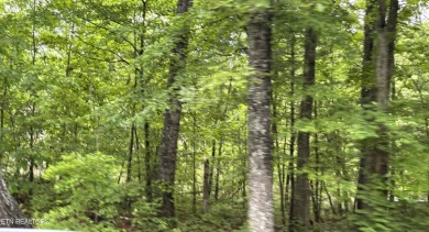 Over one acre soil tested and surveyed water front property in on Lake Tansi Village Country Club in Tennessee - for sale on GolfHomes.com, golf home, golf lot
