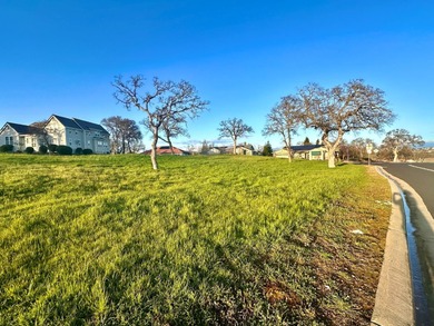 This stunning 2,568 sq. ft. single-level custom home by Tony on The Club at Copper Valley Golf Course in California - for sale on GolfHomes.com, golf home, golf lot