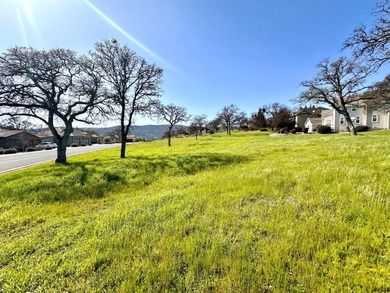 This stunning 2,568 sq. ft. single-level custom home by Tony on The Club at Copper Valley Golf Course in California - for sale on GolfHomes.com, golf home, golf lot