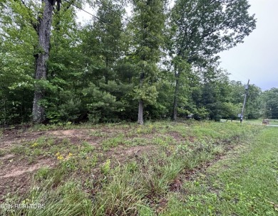 Over one acre soil tested and surveyed water front property in on Lake Tansi Village Country Club in Tennessee - for sale on GolfHomes.com, golf home, golf lot