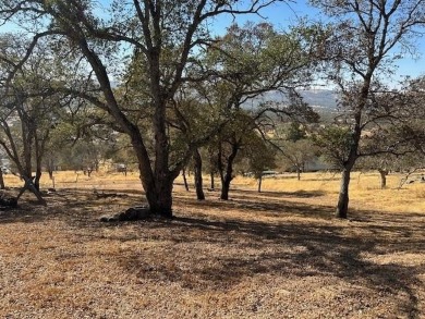 A nice half acre lot available, gently sloping with a great on The Club at Copper Valley Golf Course in California - for sale on GolfHomes.com, golf home, golf lot