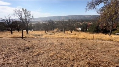 A nice half acre lot available, gently sloping with a great on The Club at Copper Valley Golf Course in California - for sale on GolfHomes.com, golf home, golf lot