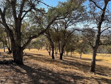 A nice half acre lot available, gently sloping with a great on The Club at Copper Valley Golf Course in California - for sale on GolfHomes.com, golf home, golf lot