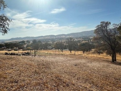 A nice half acre lot available, gently sloping with a great on The Club at Copper Valley Golf Course in California - for sale on GolfHomes.com, golf home, golf lot